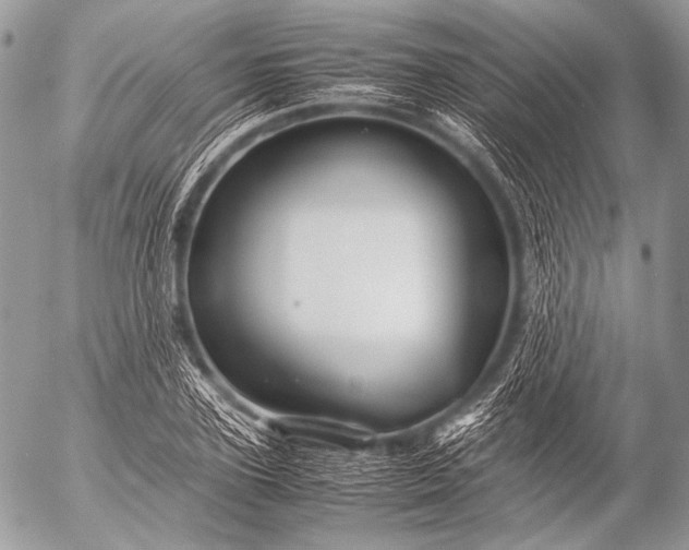 X0000053050931200507251419