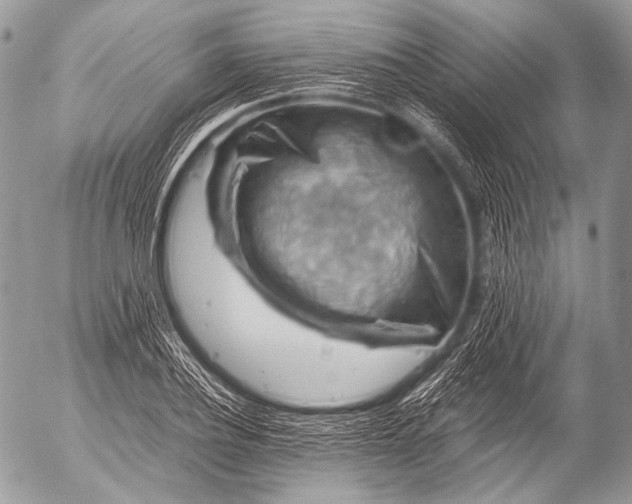 X0000053050932200507251419