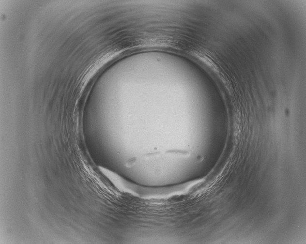 X0000053050933200507251419