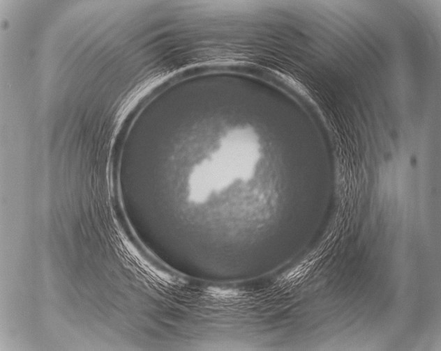 X0000053050935200507251419