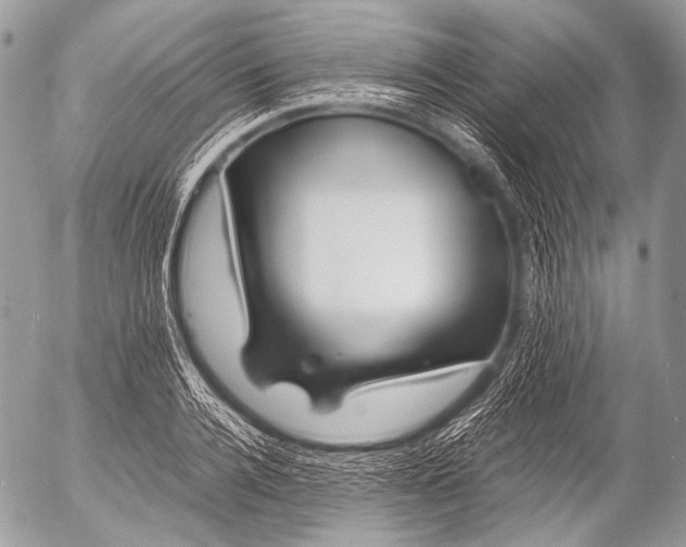 X0000053050936200507251419