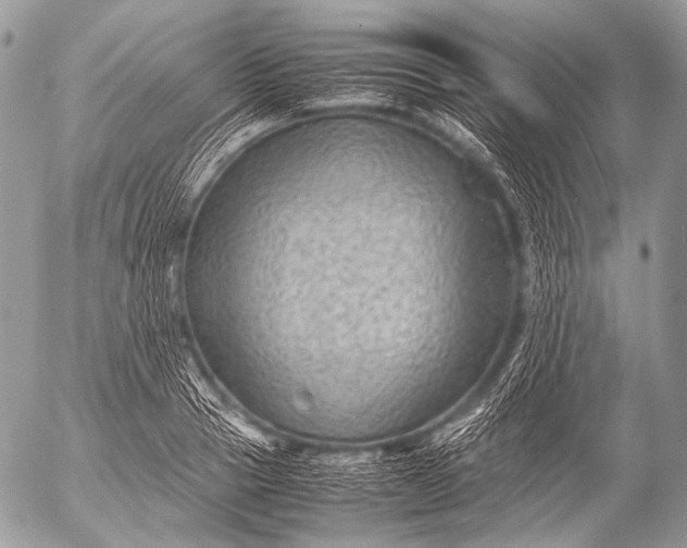 X0000053050937200507251419