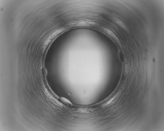 X0000053050938200507251419