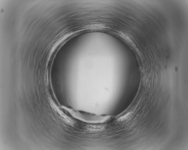 X0000053050939200507251419