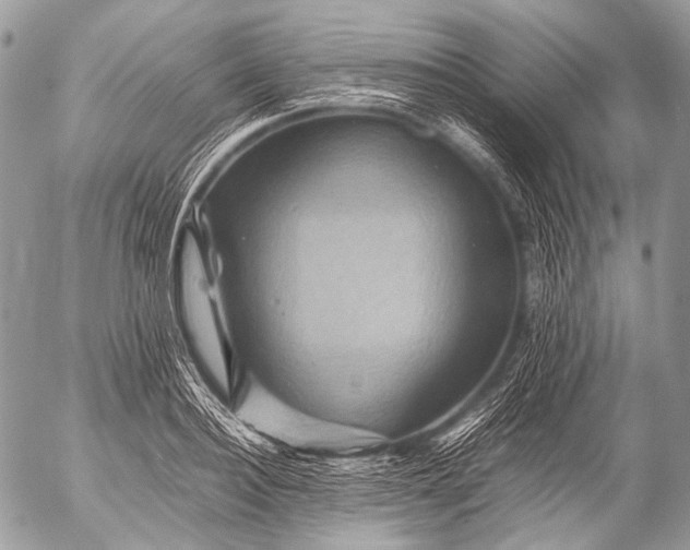 X0000053050940200507251419