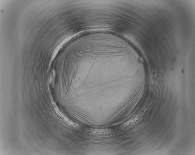 X0000053050941200507251419