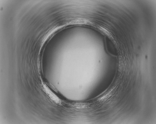 X0000053050942200507251419