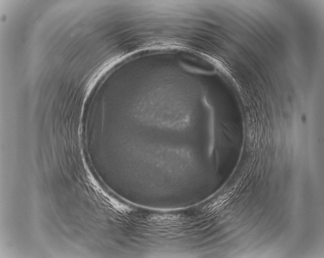 X0000053050943200507251419