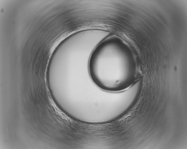 X0000053050944200507251419