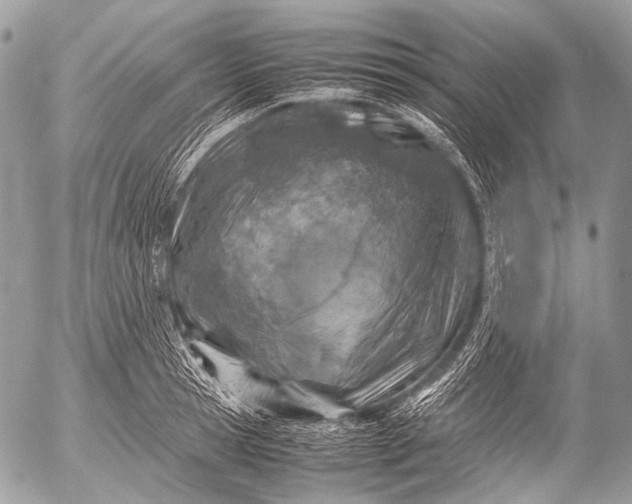 X0000053050945200507251419