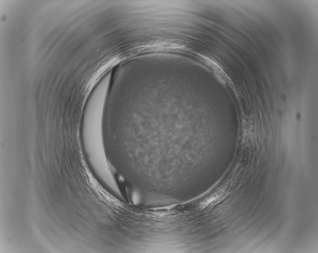 X0000053050946200507251419