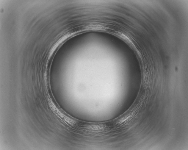 X0000053050947200507251419