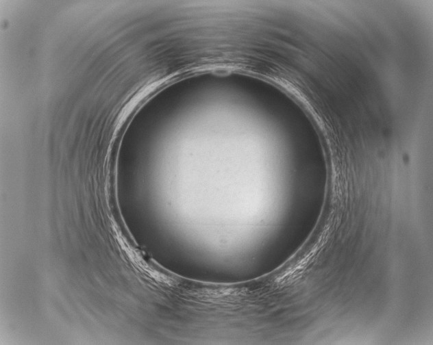 X0000053050949200507251419