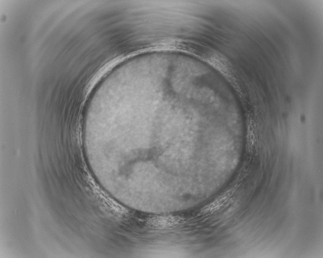 X0000053050950200507251419