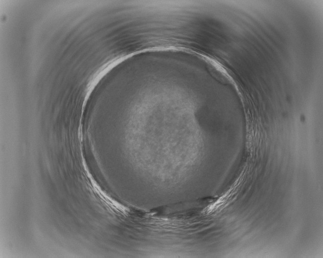 X0000053050951200507251419