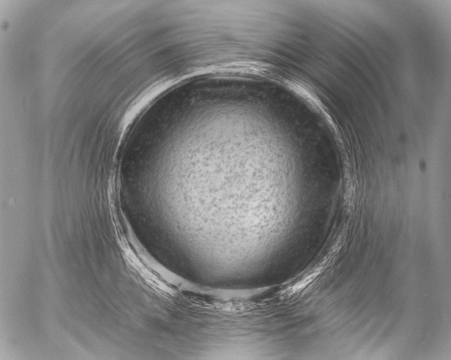 X0000053050952200507251420