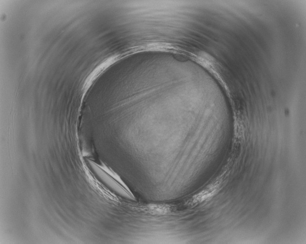 X0000053050954200507251420