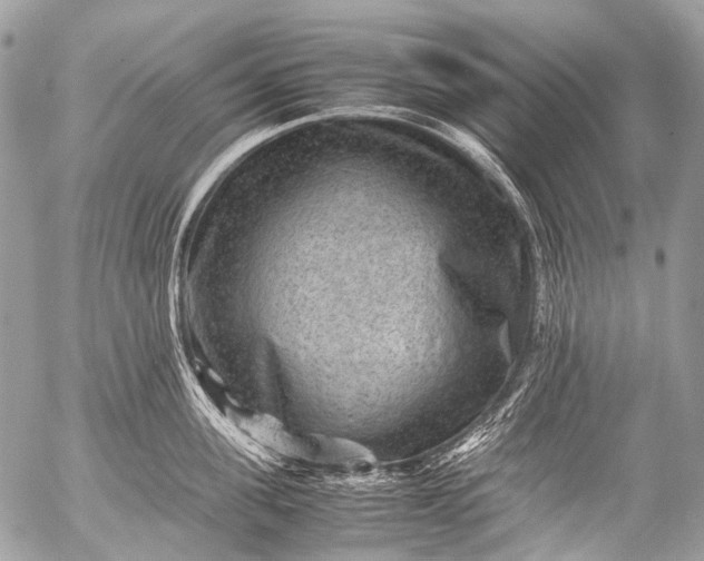 X0000053050955200507251420