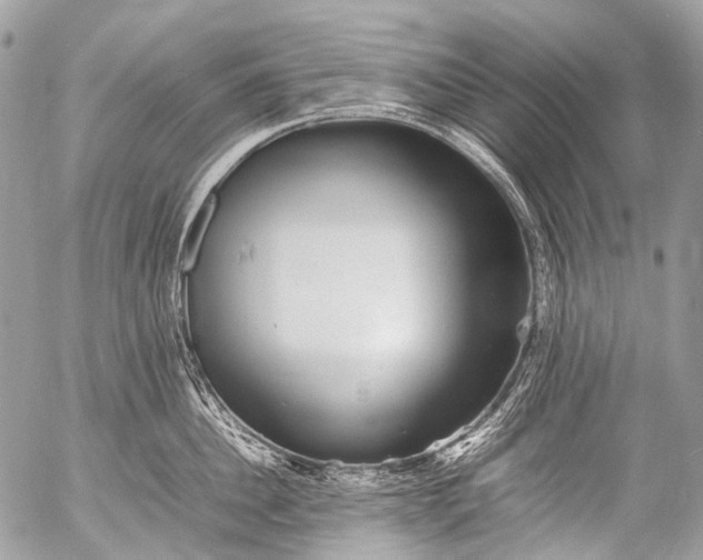 X0000053050956200507251420