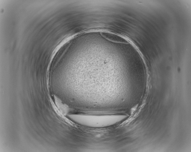 X0000053050957200507251420