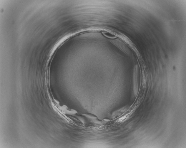 X0000053050958200507251420