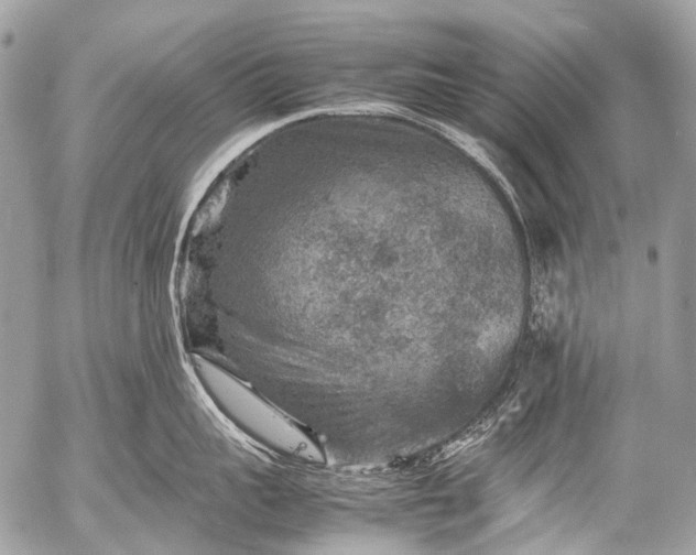 X0000053050959200507251420