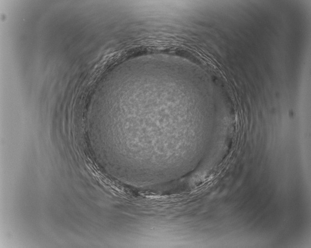 X0000053050961200507251419