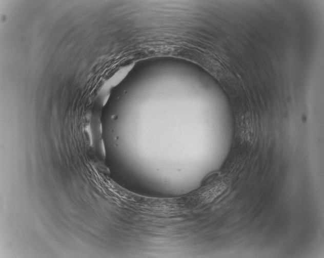 X0000053050962200507251419