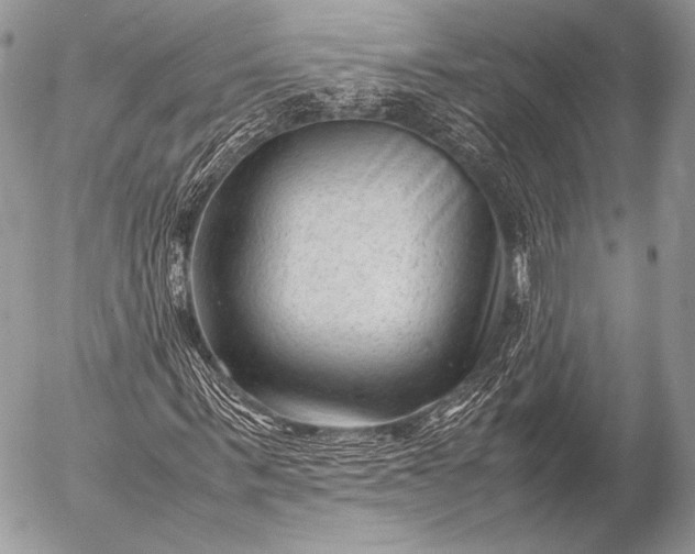 X0000053050963200507251419