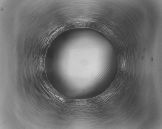 X0000053050964200507251419