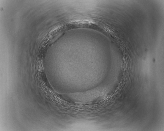 X0000053050965200507251419