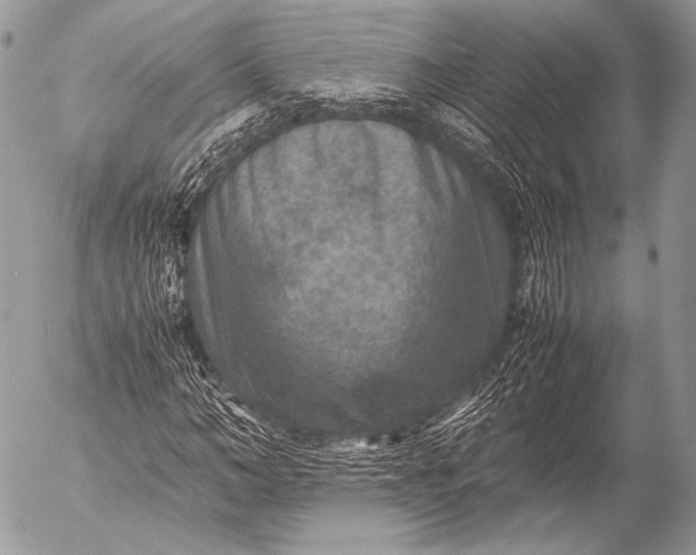 X0000053050966200507251419