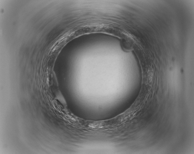 X0000053050967200507251419