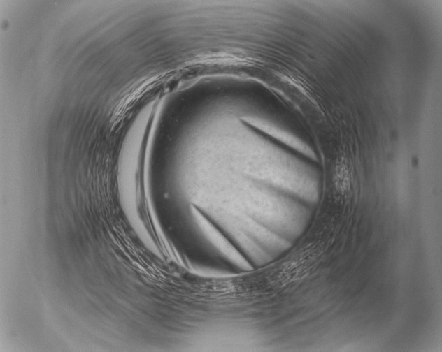 X0000053050968200507251419