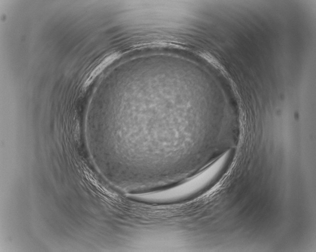 X0000053050969200507251419