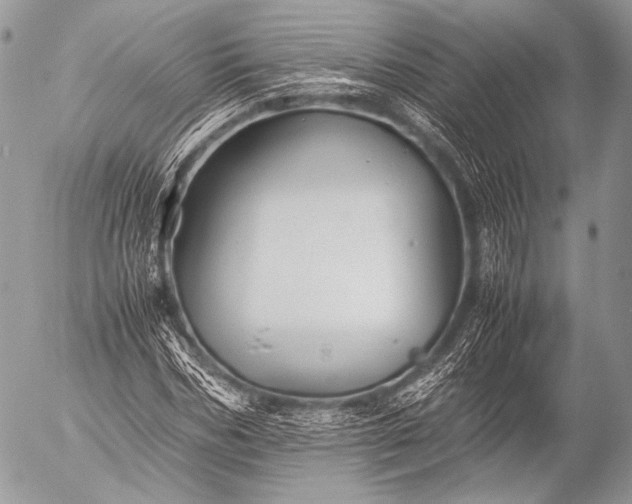 X0000053050970200507251419