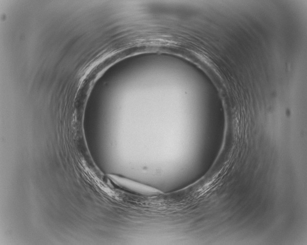 X0000053050971200507251419