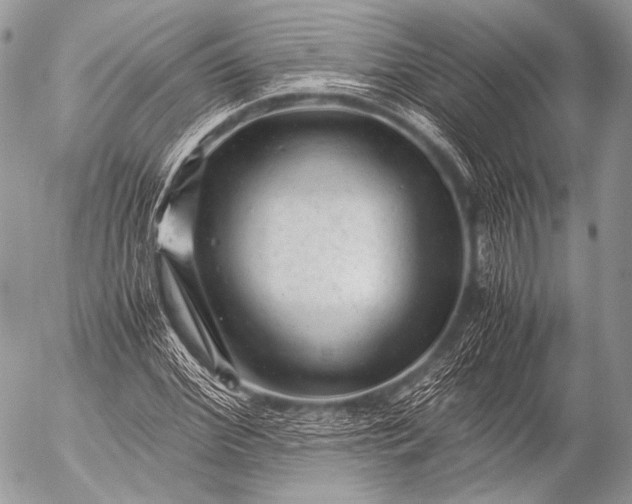 X0000053050972200507251419