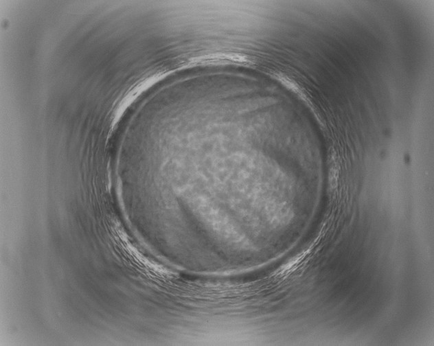 X0000053050973200507251419