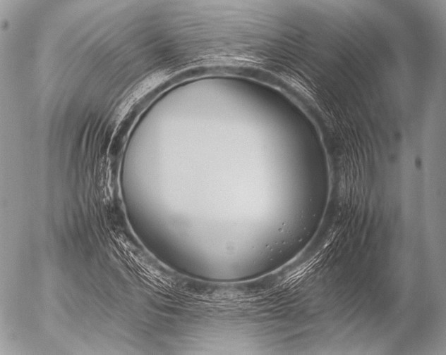 X0000053050974200507251419