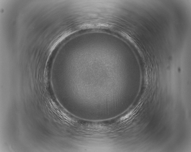 X0000053050975200507251419