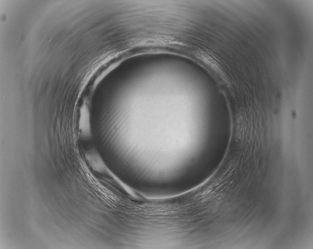 X0000053050976200507251419