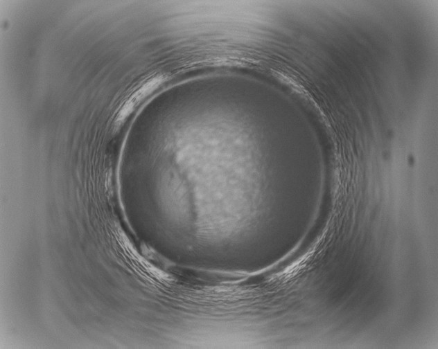 X0000053050977200507251419