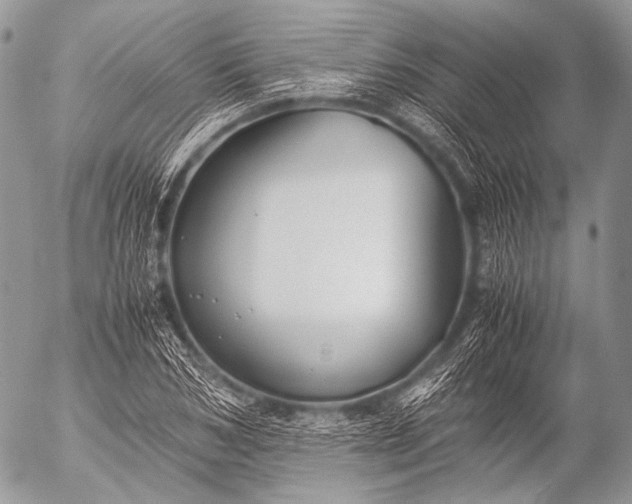 X0000053050978200507251419