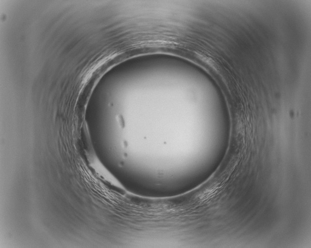 X0000053050979200507251419