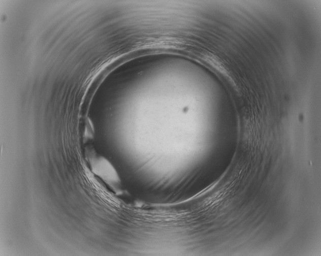 X0000053050980200507251419