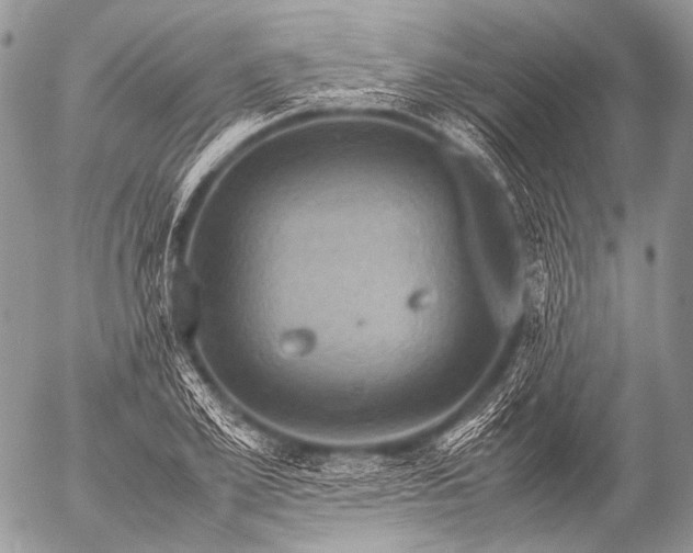 X0000053050981200507251419