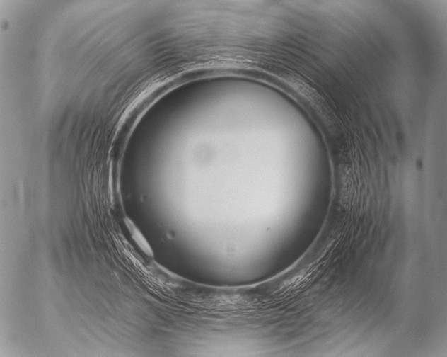 X0000053050982200507251418