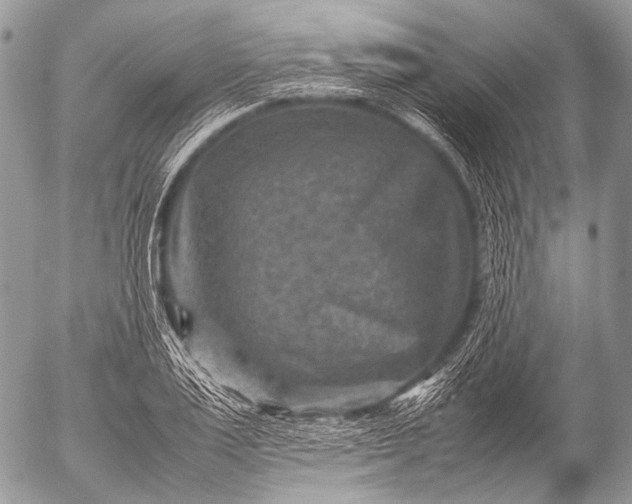 X0000053050983200507251418