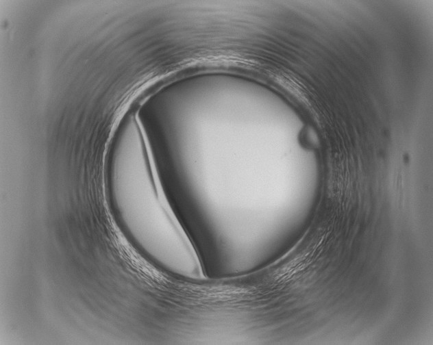 X0000053050984200507251418